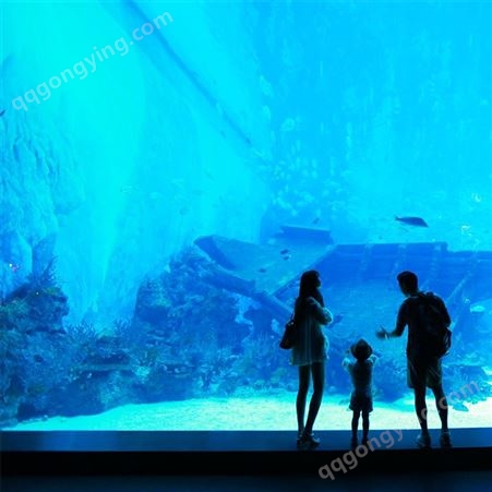 戏浪海洋馆展示展览工程设计 海洋透明隧道设计安装 大型鱼缸定做