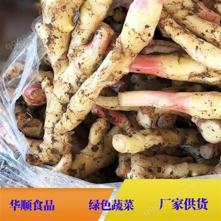 生姜 口感辛辣 可用于超市出售 可做调料炒菜 华顺