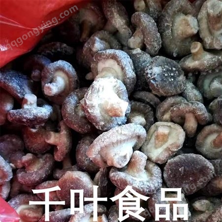 滨州出口级香菇丁 安阳食用菌 单体速冻