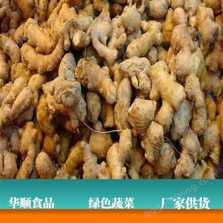 小黄姜供应 口感辛辣 基地种植 可送货 华顺食品