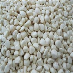 速冻蒜米 真空保鲜蒜米 常年供应 量大优化