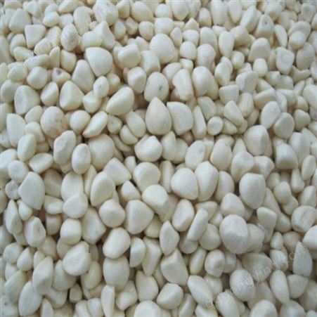 速冻蒜米 真空保鲜蒜米 常年供应 量大优化