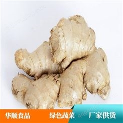 华顺食品 大黄姜招商 水洗保鲜大姜 可以用于市场出售