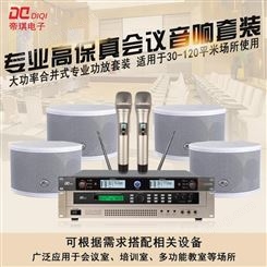 帝琪多媒体会议室系统集成扩音系统报价一拖二无线手持话筒DI-3802A