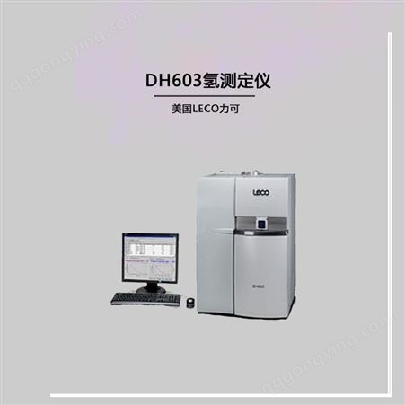 DH603氢测定仪 RHEN602