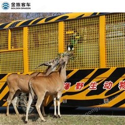 上海金旅动物园专用车电瓶观光车教案
