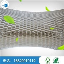 广州塑料蜂窝芯 质量轻蜂窝板厂家