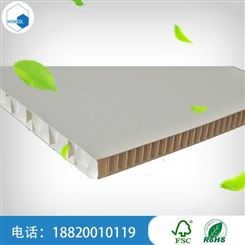 广州PET塑料蜂窝板 交通塑料蜂窝板厂家价格