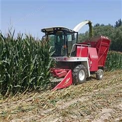 玉米秸秆青储机械豫东农牧棉花秸秆收割机-甘肃-玉米青储机械