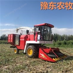 豫东农牧青储玉米收割机-玉米大型青储收割机-新疆-玉米青储机械
