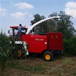内蒙古柠条收割机-豫东农牧玉米秸秆青储机-青储机械