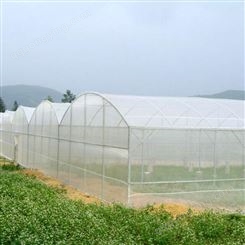 专业生产 果树防虫网 蔬菜大棚防虫网价格 果园防虫网 防虫网厂家
