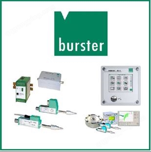 波斯特burster RESISTOMAT 24508 数字兆欧表