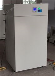 博珍BZJ-20A百级洁净干燥箱烘箱，一百级洁净