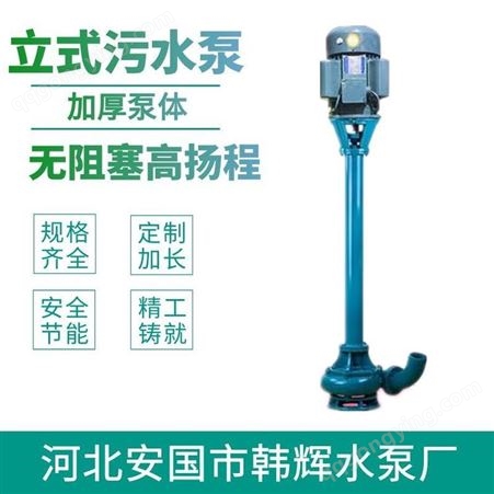 加长轴排污泵 定制加长轴液下泵 韩辉 高扬程污水泵
