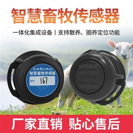 牛羊跟踪定位器 RFID识别测温定位