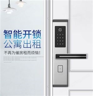 上海宏兴公寓智能锁 智能开锁 多类产品可供选择