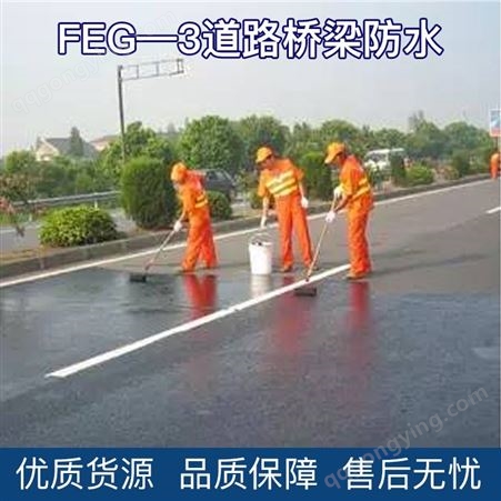 碧家索FEG -3道路桥梁防水  耐酸耐碱防腐桥面涂料