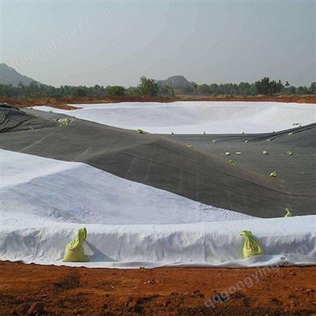 合肥复合土工膜价格报价  HOPE土工膜防渗节能环保