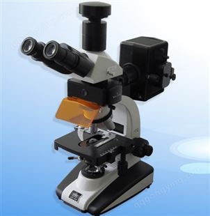 正置荧光显微镜　XSP-63XV