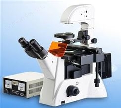 倒置荧光显微镜  XSP-SG-63XD