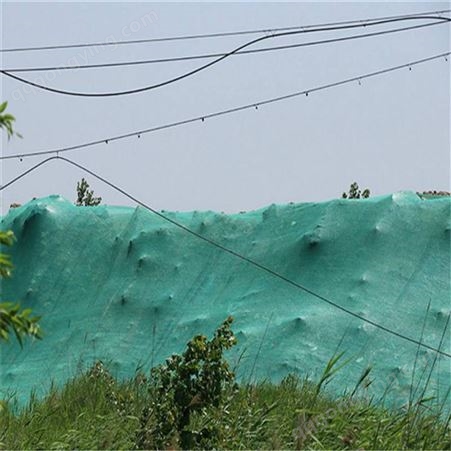 绿化防尘网 市政工地绿网 防尘编织覆盖网