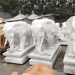 石雕大象 仿古石雕动物 汉白玉石雕大象