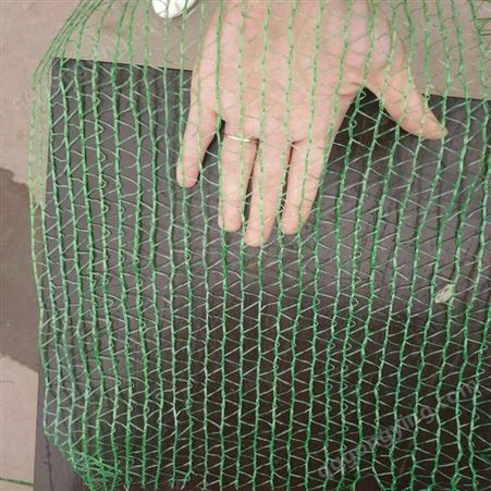 露天施工防尘网 建筑工程绿网 6针绿网
