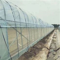 育苗玻璃连动大棚 椭圆管大棚 暖棚 厂家 供应 花卉种植大棚