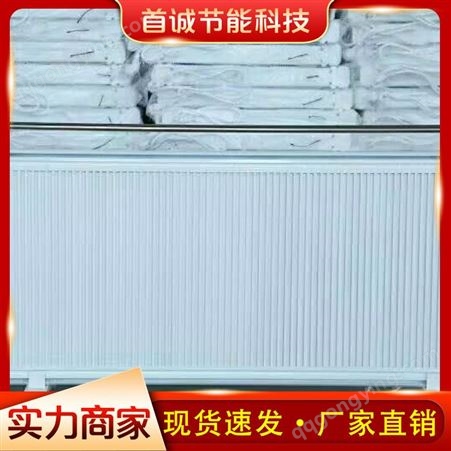 电暖器 对流式电暖器 电暖器价格 质优价廉