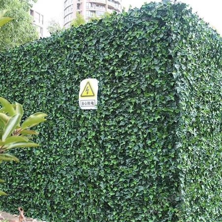 立体生态植物墙定制