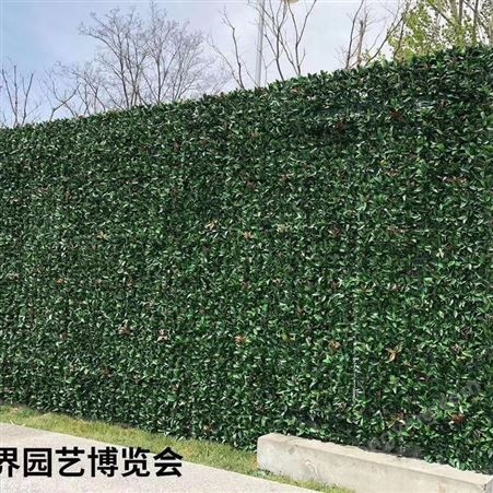 生态植物墙一平方价格