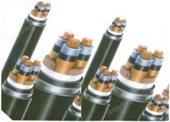 YJV22-1系列2×4-2×150交联聚乙烯绝缘聚氯乙烯护套铠装电力电缆