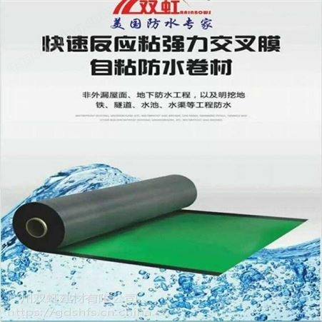 广州双虹 自粘改性沥青防水卷材 防水卷材价格 直销