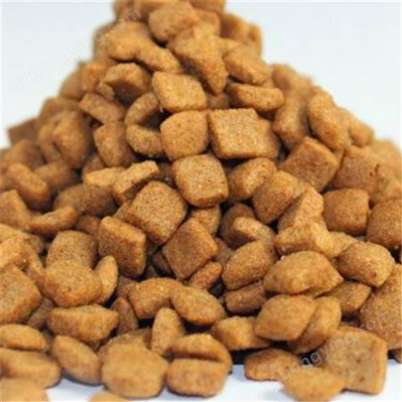 双螺杆宠物食品生产线 山东赛百诺 狗粮猫粮设备