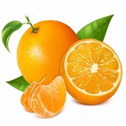 黄桃罐头 橘子罐头 水果罐头_量大