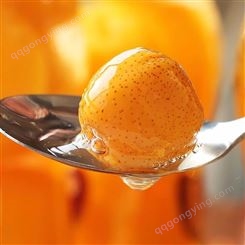 水果罐头 山楂罐头 橘子罐头 _质量放心