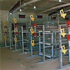 肉鸡笼 鸡舍养殖用框架笼 元宝型层叠笼 支持来电定制