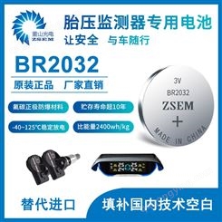 锂一次性BR2032纽扣电池 汽车胎压监测器专用电池  安全防爆耐高温 3V锂电池