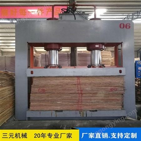 50吨低价批发 分段式木工冷压机 胶合板套装门粘合压机 建筑保温板冷压机