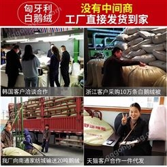 金华东阳购买白鸭绒被商场 冬用2米2/2米4柔软提花纯棉白鸭绒被价格