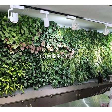 植物墙 背景墙塑料假草坪绿植墙门头室内店招植物花墙