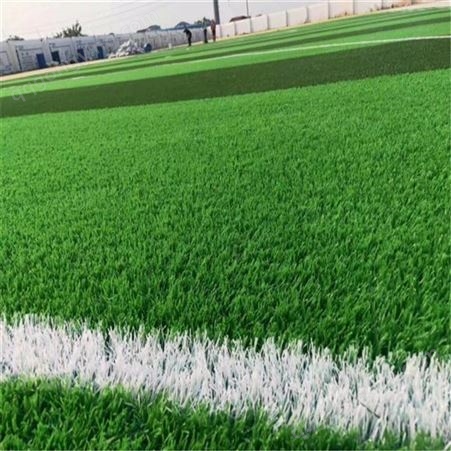 足球场草坪 40mm草坪填充 人造草坪设计施工