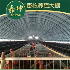 全封闭畜牧温室鸡棚 椭圆管定制棚  新型养殖大棚 钢管拱形种植大棚建造