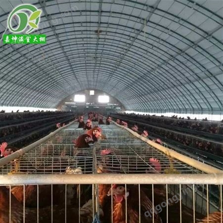 鸡场自动化恒温大棚 养殖温室大棚