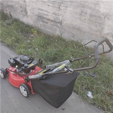 新晨 街区绿化公园草坪修剪机 8马力柴油小型手推式剪草机
