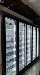 多功能冰柜储存功能饮料展示柜步入式冰柜侧开门冰柜异型冰柜