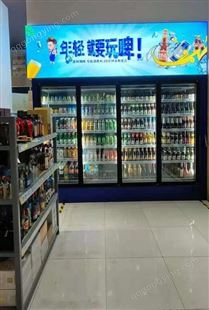 多功能冰柜储存功能饮料展示柜步入式冰柜侧开门冰柜异型冰柜
