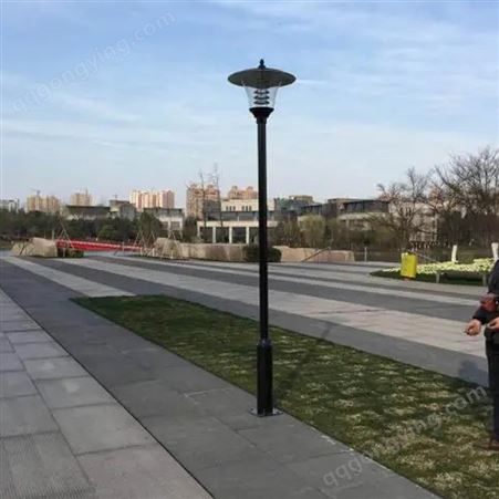 万德福 4米款景观灯 庭院灯具  40w功率 道路草地用 定制