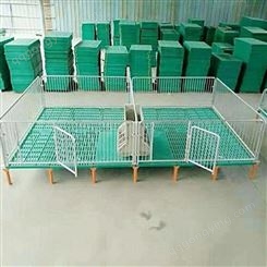 猪用产保一体床 小猪塑料保育床 加工 生产 欧式保育床